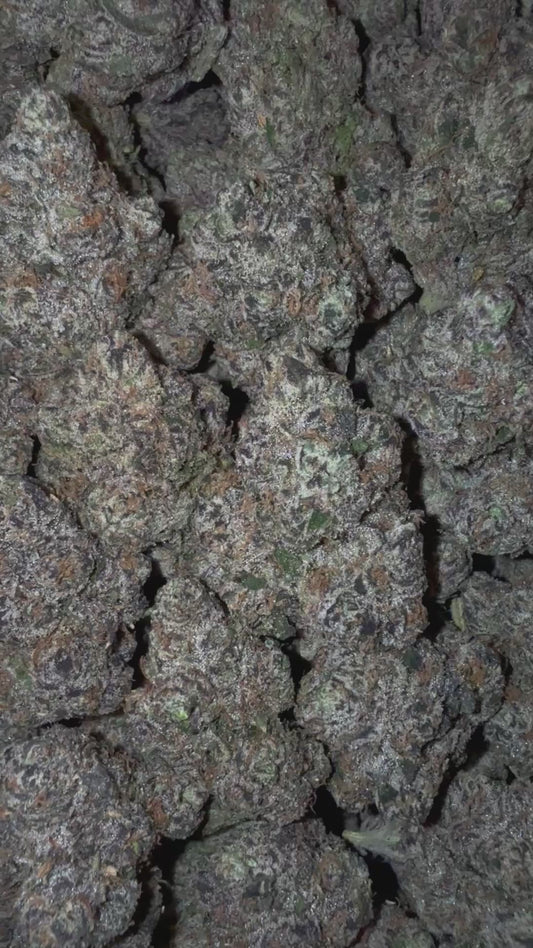 Sherb Cream Pie