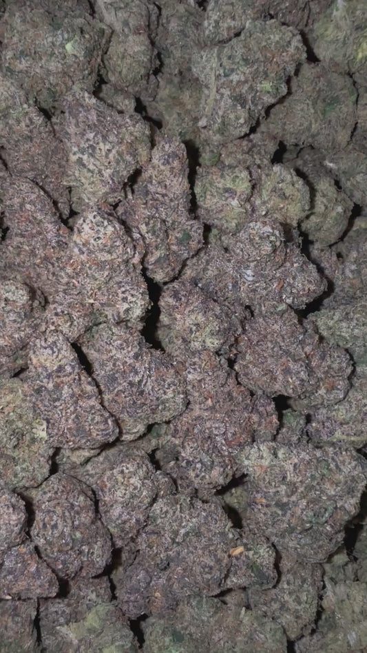 Candy Runtz