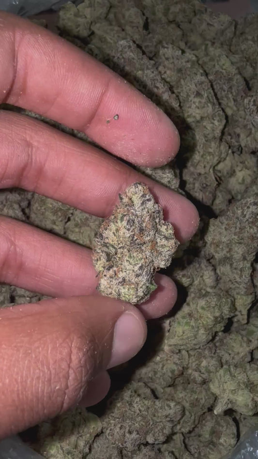 BlackBerry Nerdz