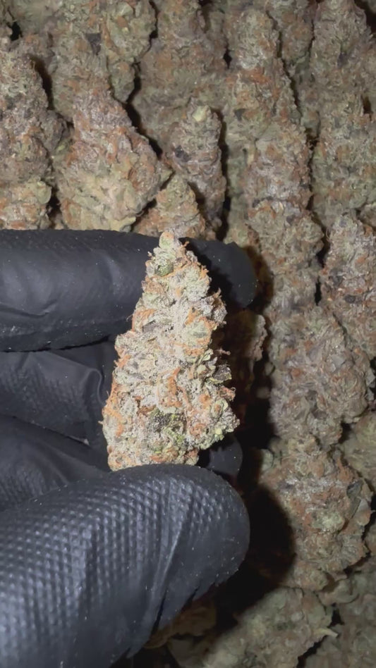 Banana OG