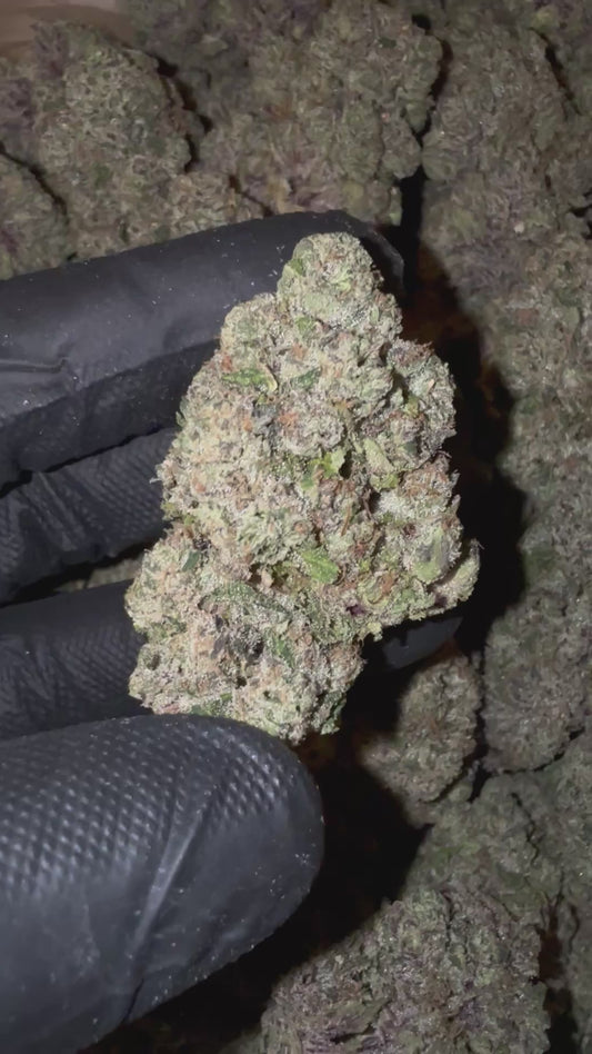 Sherb Cream Pie