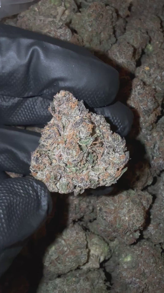 Pink Pop Rocks