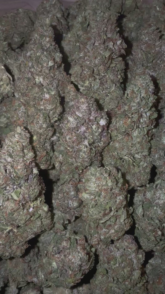 Blue Sour Diesel