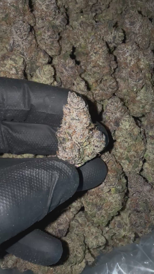 Strawberry Milkshake