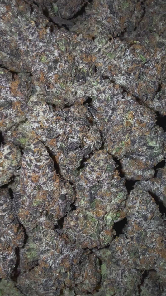 PBJ