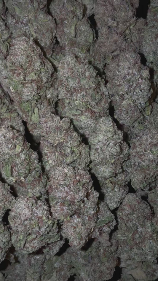 Lemon Cherry Gelato