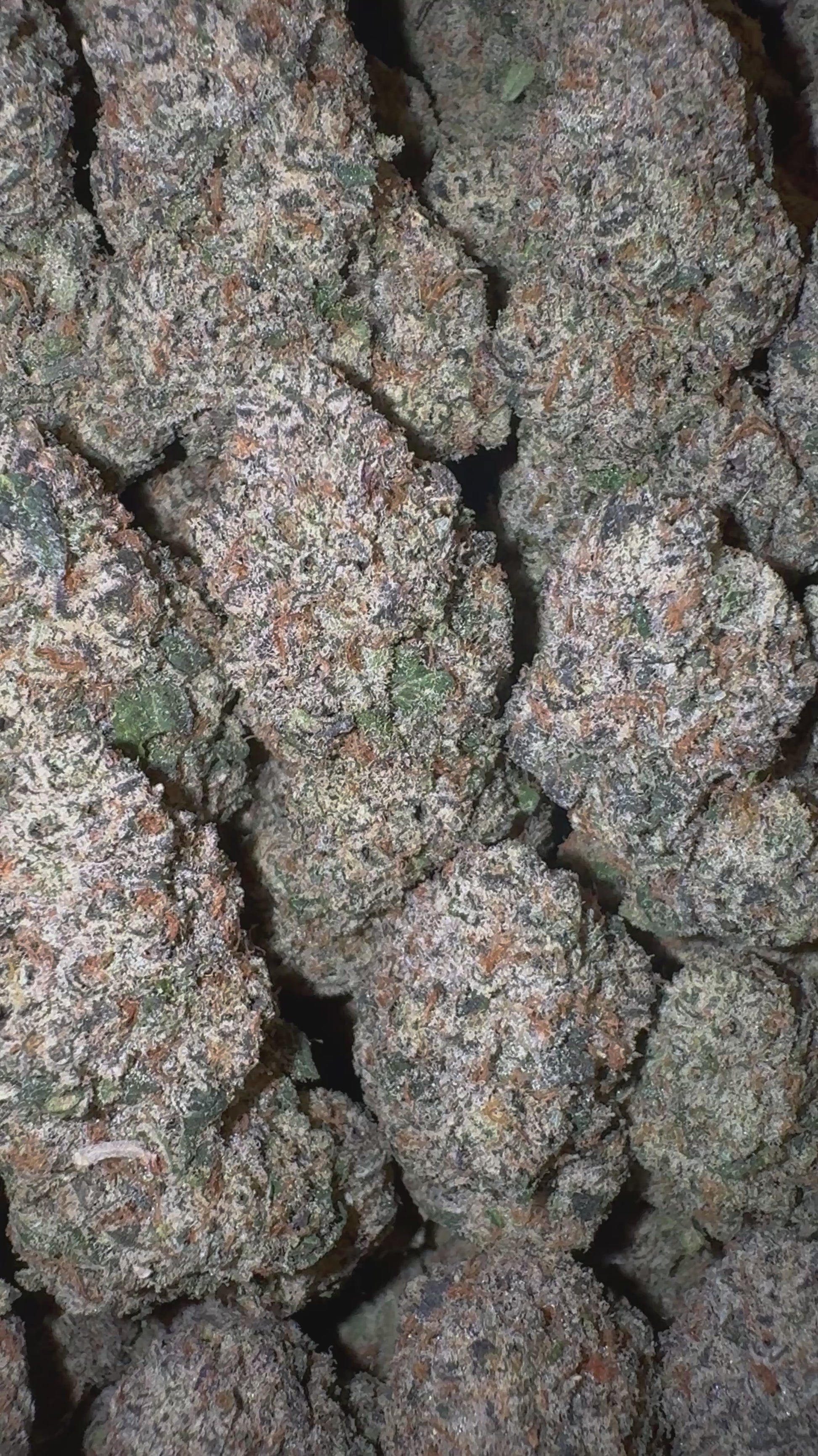 Sour Belts