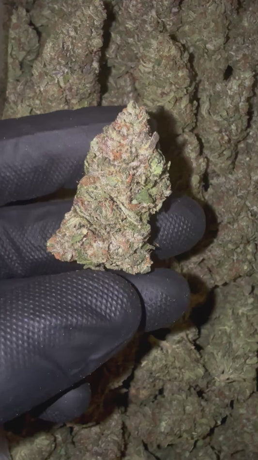 Blue Sour Diesel