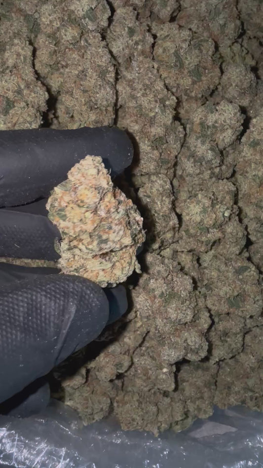 Ghostrider OG